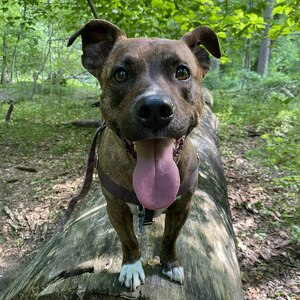 Fundraising Page: Amanda Hagan